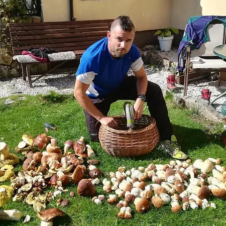 U Orla W Szklarskiej Porebie Lägenhet *