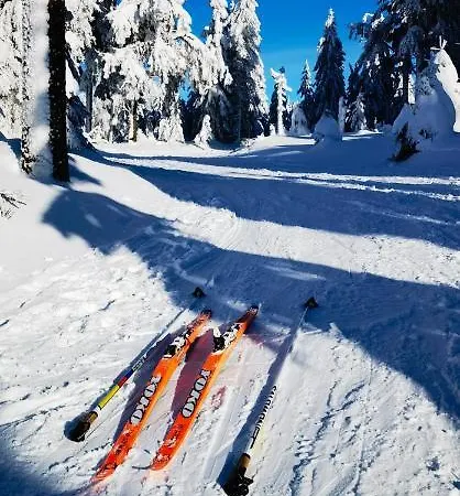 公寓 U Orla W Szklarskiej Porebie