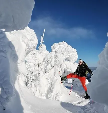 公寓 U Orla W Szklarskiej Porebie