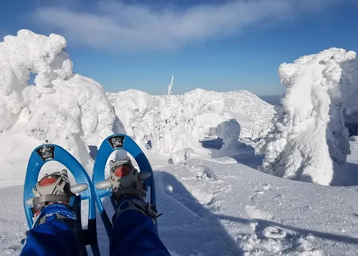 U Orla W Szklarskiej Porebie Apartment