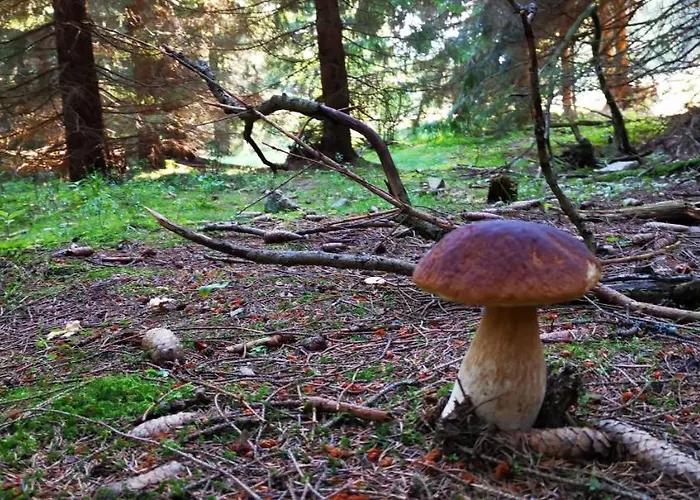 U Orla W Szklarskiej Porebie