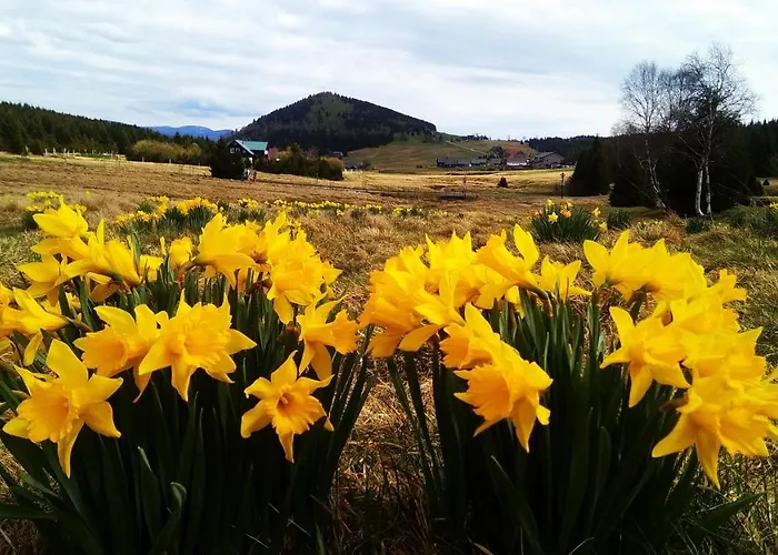 U Orla W Szklarskiej Porebie Szklarska Poreba